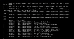 Linux kernel panic